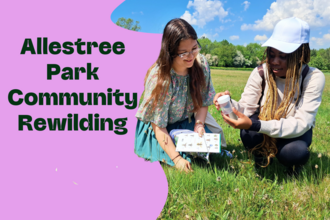 Allestree Park Community Rewilding