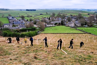 volunteers planting tress for Nature Returns project