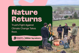 Nature Returns, trust's fight against climate change takes root