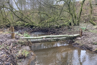 Wye Leaky Dam made of trees