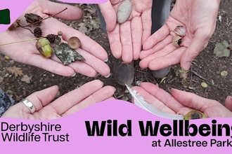 Hands in a circle with palms up with acorns and rocks and other natural items in their hands. 
