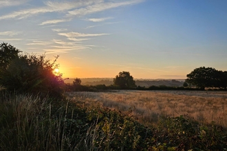 A view of common farm at sunrise