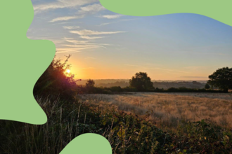 common farm at dusk