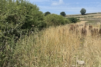 Space For Nature
