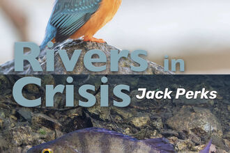 Rivers in Crisis