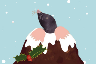 Illustration of a mole perched atop a mole hill, with pink and white frosting, green holly leaves with red berries, and snow falling in a blue background.