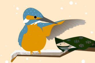 Illustration of a stylized kingfisher with blue head and back, orange chest, and grey wings, perched on a snowy branch, pointing at two fish under a green blanket with snowflake designs.