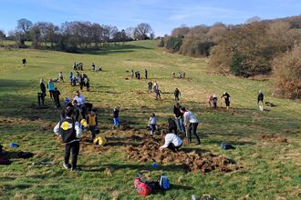 allestree park community rewilding event