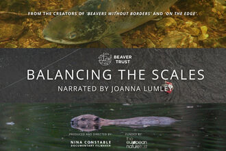Balancing the Scales poster