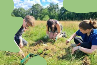three people planting