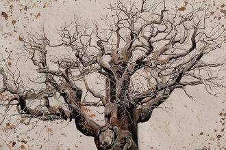 Diane Green Major Oak
