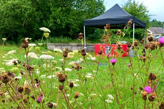Garden Games at Peak village