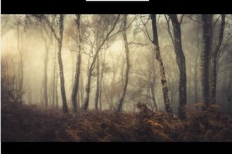 Andy Gray Fine Art Landscape Photography Exhibition