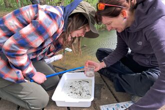 Pond Dipping