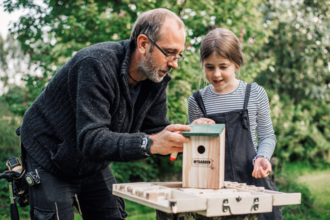 Bat Box Making