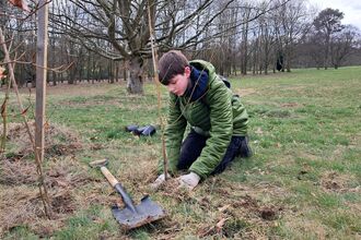 A young person in a green jacket kneels in a grassy field, planting a sapling with a shovel nearby.
