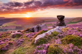 A dramatic sunset illuminates a rolling landscape covered in vibrant purple heather and dotted with weathered rock formations.