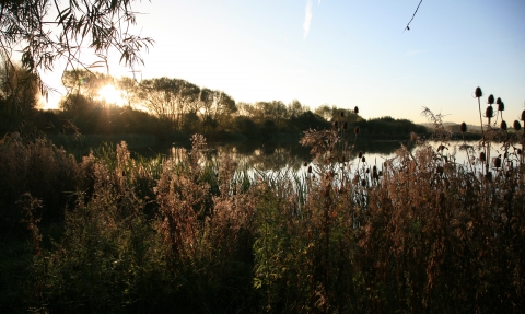 Carr Vale Nature Reserve, Guy Badham