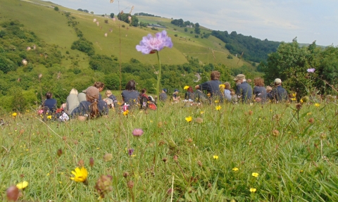 Preistcliffe Lees in Derbyshire's Wye Valley, Kaite Helps