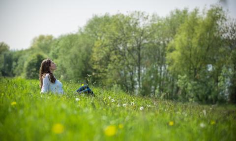 Relaxing in a wild flower meadow, Matthew Roberts