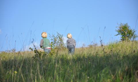 Boys strolling through a field, Emma Bradshaw 