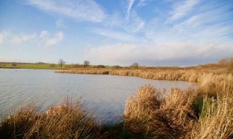 Carr Vale nature reserve, Guy Badham 