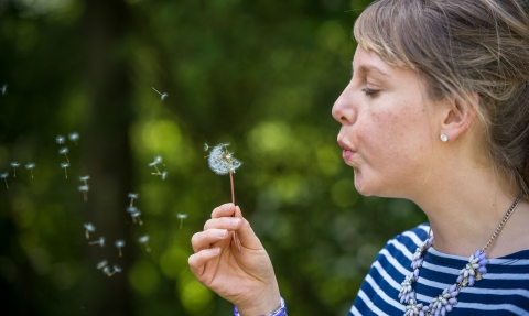 Blowing dandelion, Matthew Roberts
