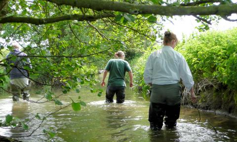 Water vole surveying, Karen Lloyd