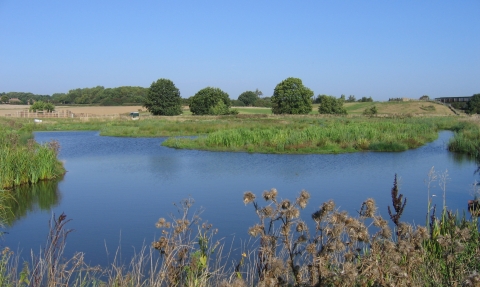 The Avenue Washlands, Steve Price