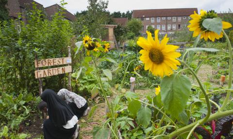 Wildlife gardening, Paul Harris 2020 VISION