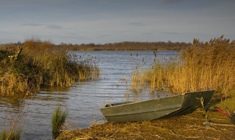 Willington Gravel Pits, Derbyshire Wildlife Trust 