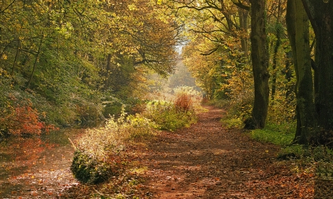 Cromford Canal, Ian Wilson