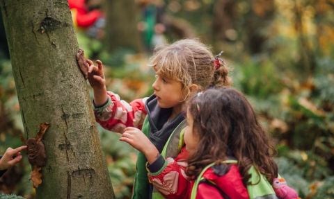 Children playing, Helena Dolby for Sheffield & Rotherham Wildlife Trust