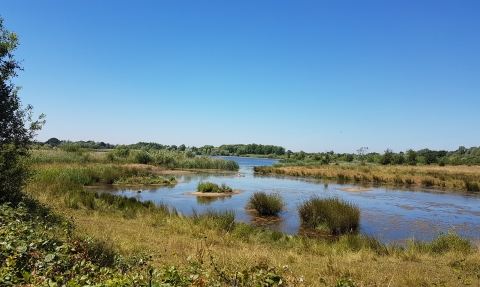 Willington Nature Reserve