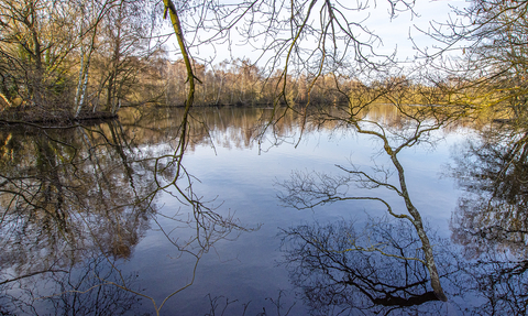 Hilton Gravel Pits Local Nature Reserve, Derbyshire Wildlife Trust © Steven Cheshire, Transforming the Trent Valley 2021 - 2021