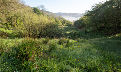 Wild Peak, Peak District, Thornhill