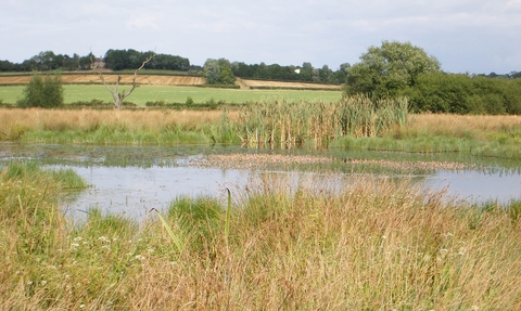 Erewash Meadows