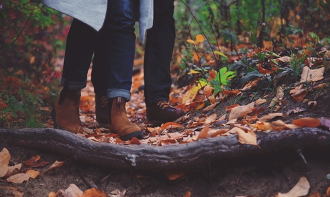 walking autumn