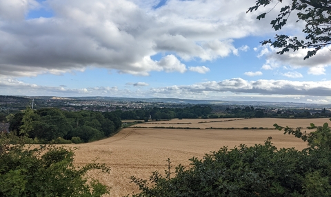 view of whittington