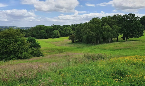 allestree park