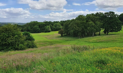 allestree park 