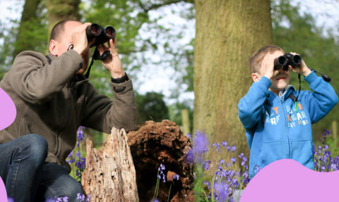 Two people looking through binoculars in bluebell woods with decorative pink blobs in the corners of the image
