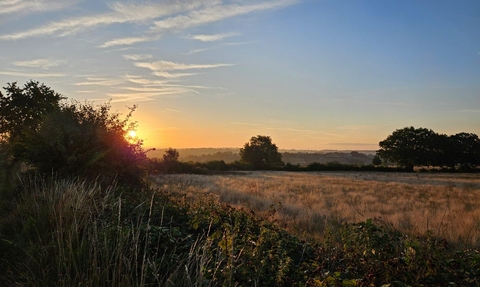 A view of common farm at sunrise
