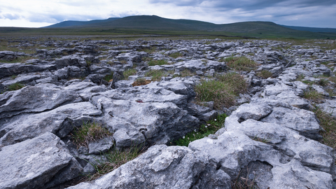 Limestone pavement