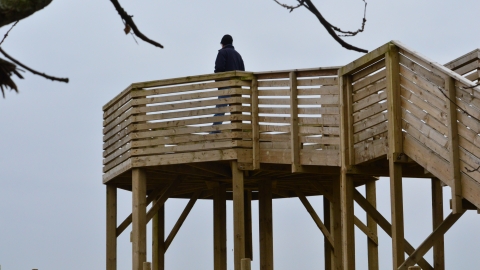 Viewing platform at Woodside Farm, Gavin Henderson