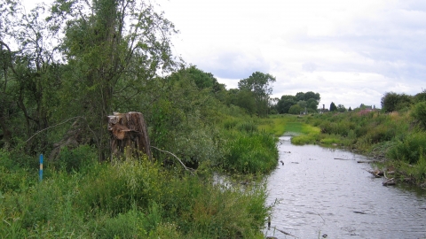 Barton pool, Derbyshire Wildlife Trust