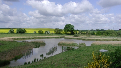 Carr Vale, Derbyshire Wildlife Trust