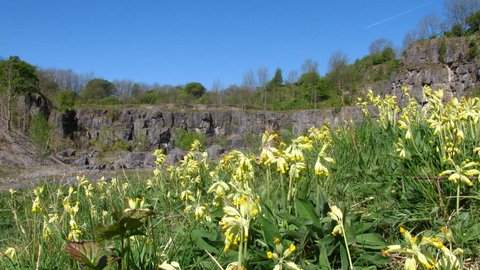 Chee Dale quarry, Shoshanah Crookes