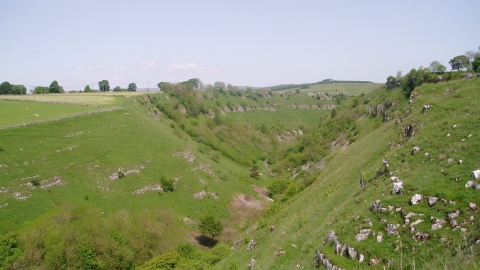 Deep Dale, Derbyshire Wildlife Trust 