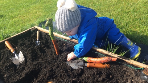 Nature Babies, Kaite Helps